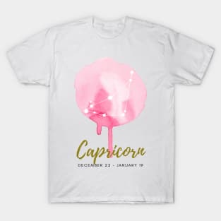 Capricorn Zodiac Artprint Illustration Poster Drawing Art Print Constellation Astrology T-Shirt